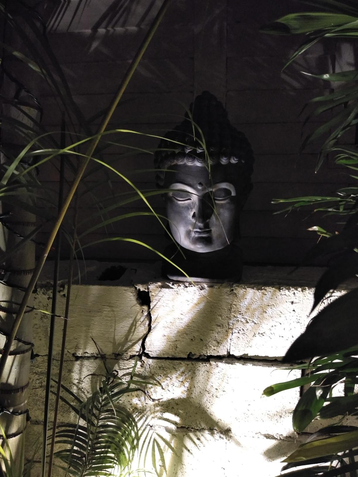 John Timberland Meditating Buddha Head 18 1/2