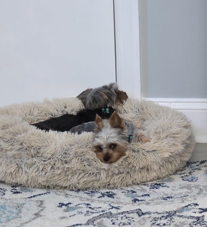 Best Friends by Sheri Original Calming Donut Dog Bed, Taupe, Small, 23
