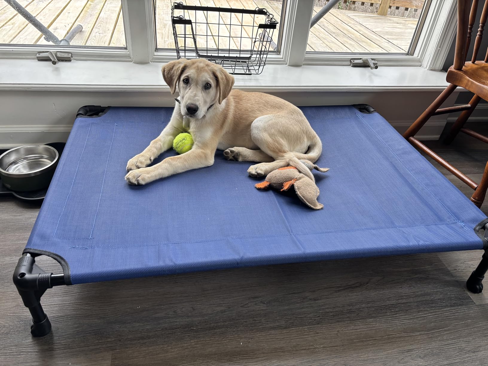 Veehoo Outdoor Elevated Dog Bed Large Sized Dogs, Cooling Raised Dog Cots customer photo 2