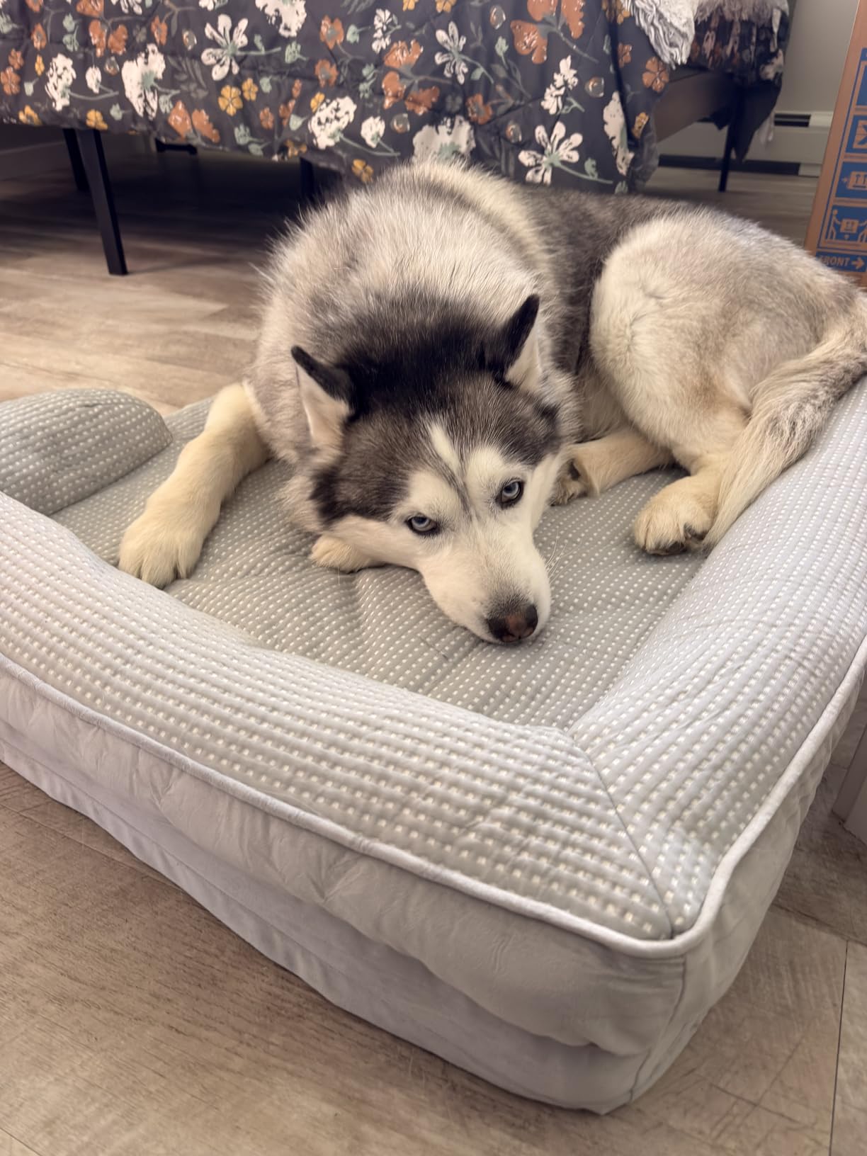Bedsure Orthopedic Dog Beds Large Sized Dog - Washable Large Dog Cat Bed Waterproof, Comfort Dogs Couch Sofa with Washable Removable Cover, Pet Bed with Nonskid Bottom, Grey, 35