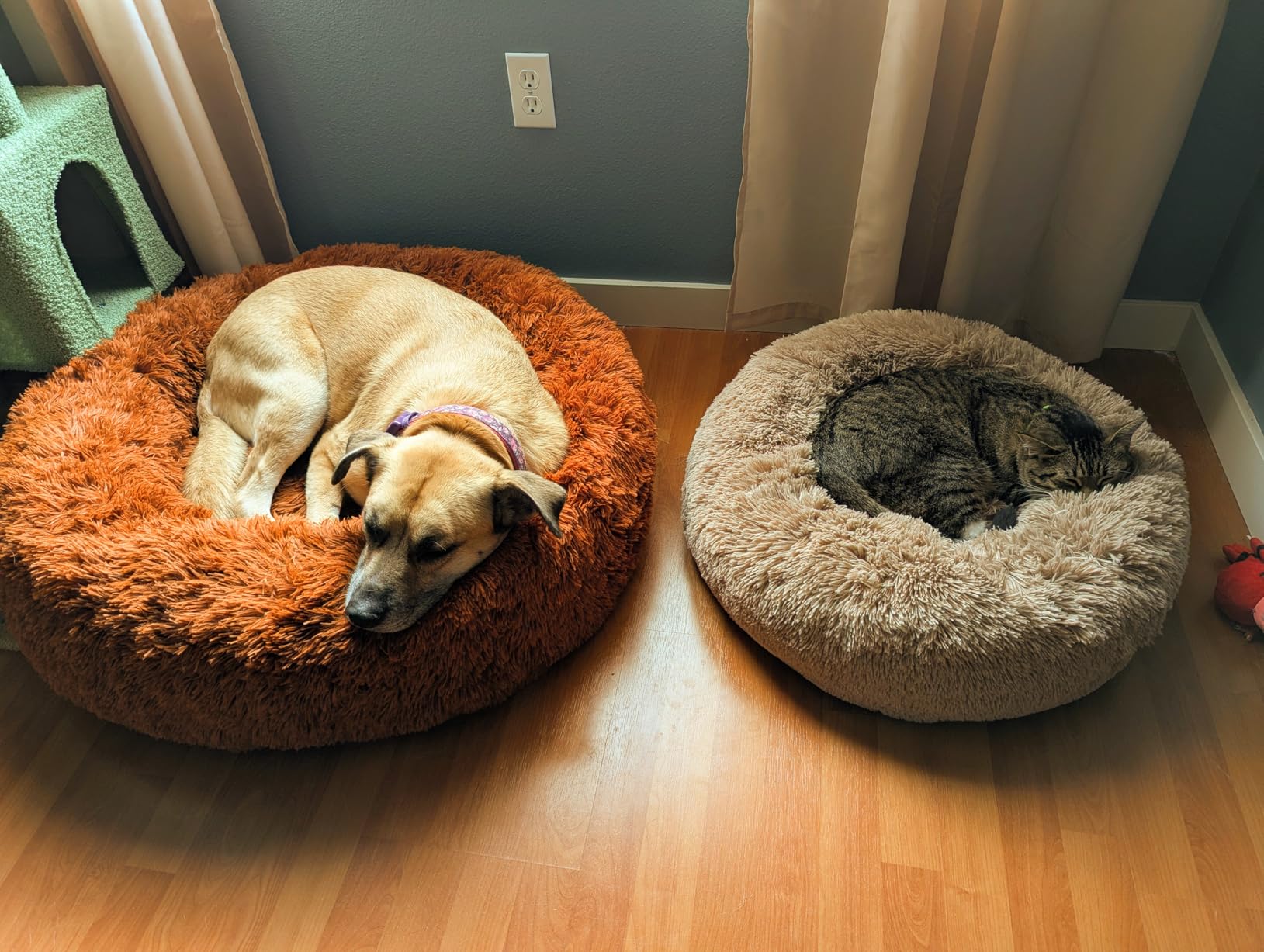 Bedsure Calming Dog Bed Medium Size Dog Donut Washable Pet Bed,30ins Camel customer photo 1