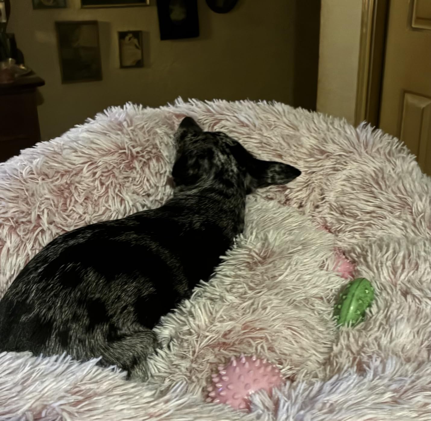 WESTERN HOME WH Calming Soft Round Dog &Cat Bed Small Dog Bed Washable,20
