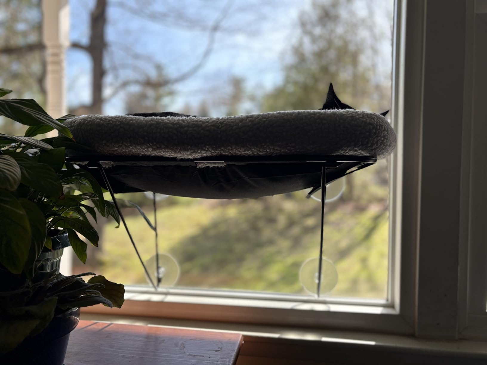Zakkart Cat Window Perch, 100% Metal Supported from Below (White) customer photo 2
