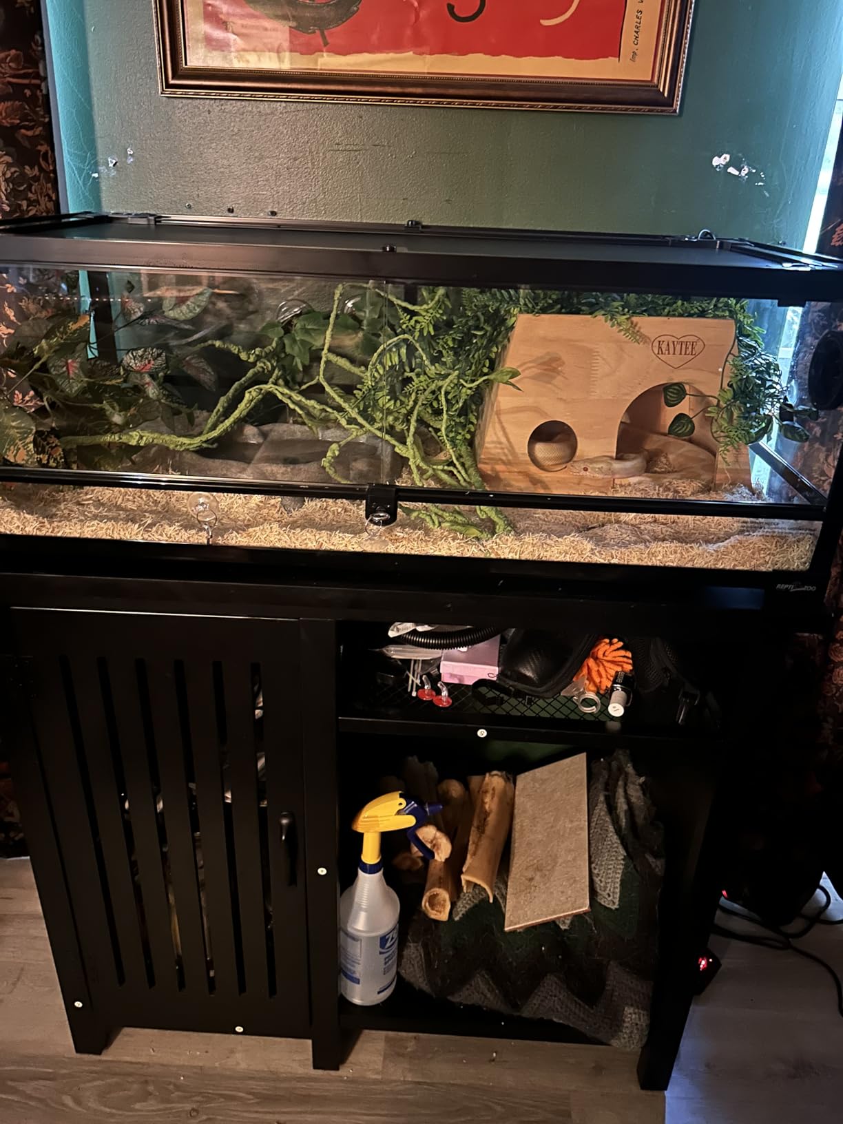 REPTI ZOO Full Glass 35 Gallon Reptile Tank, Front Opening Wide & Low Reptile Terrarium 36