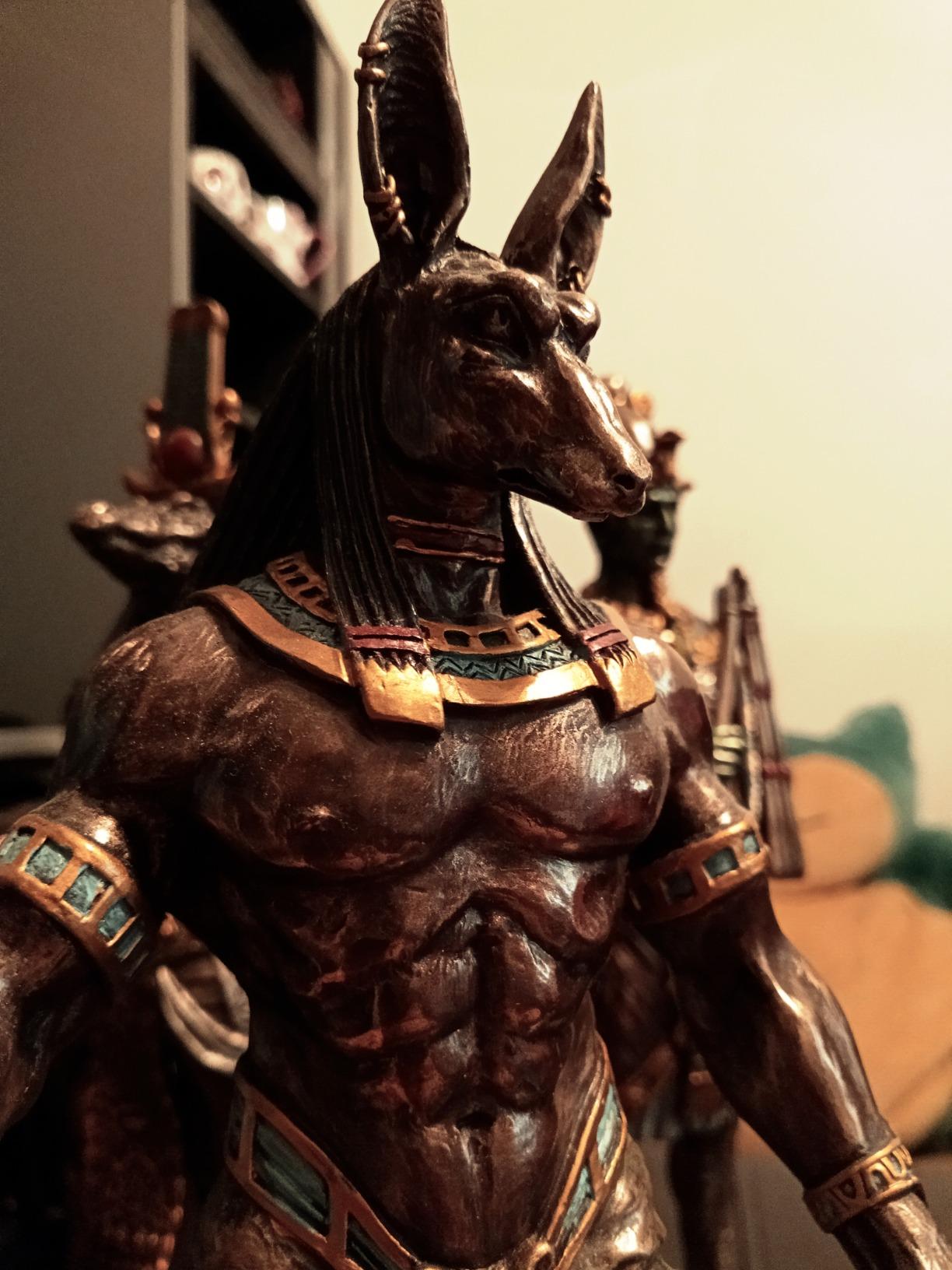 Veronese Design 10 7/8 Inch Egyptian God Anubis Holding Cobra Head Scepter Polystone Black Gold Finish Statue customer photo 1