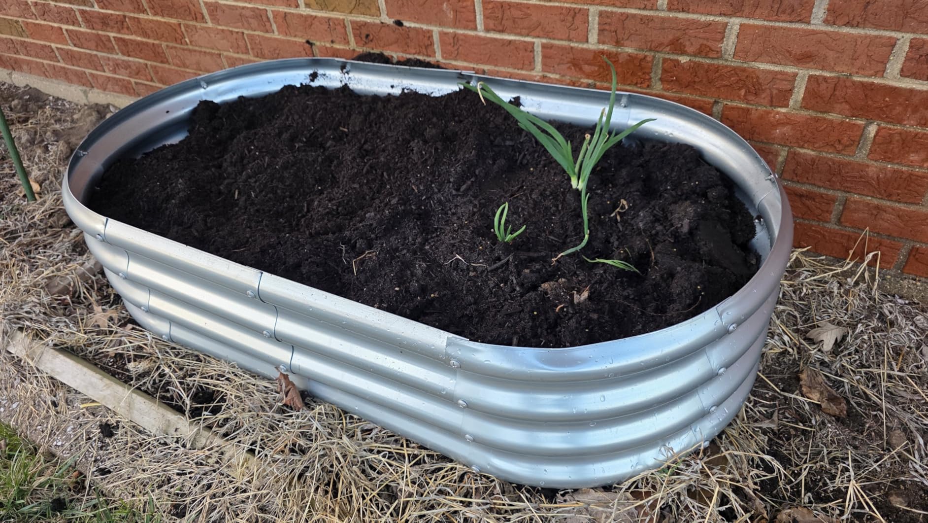 Land Guard Galvanized Raised Garden Bed Kit, Galvanized Planter Garden Boxes Outdoor, Oval Large Metal Raised Garden Beds for Vegetables customer photo 2