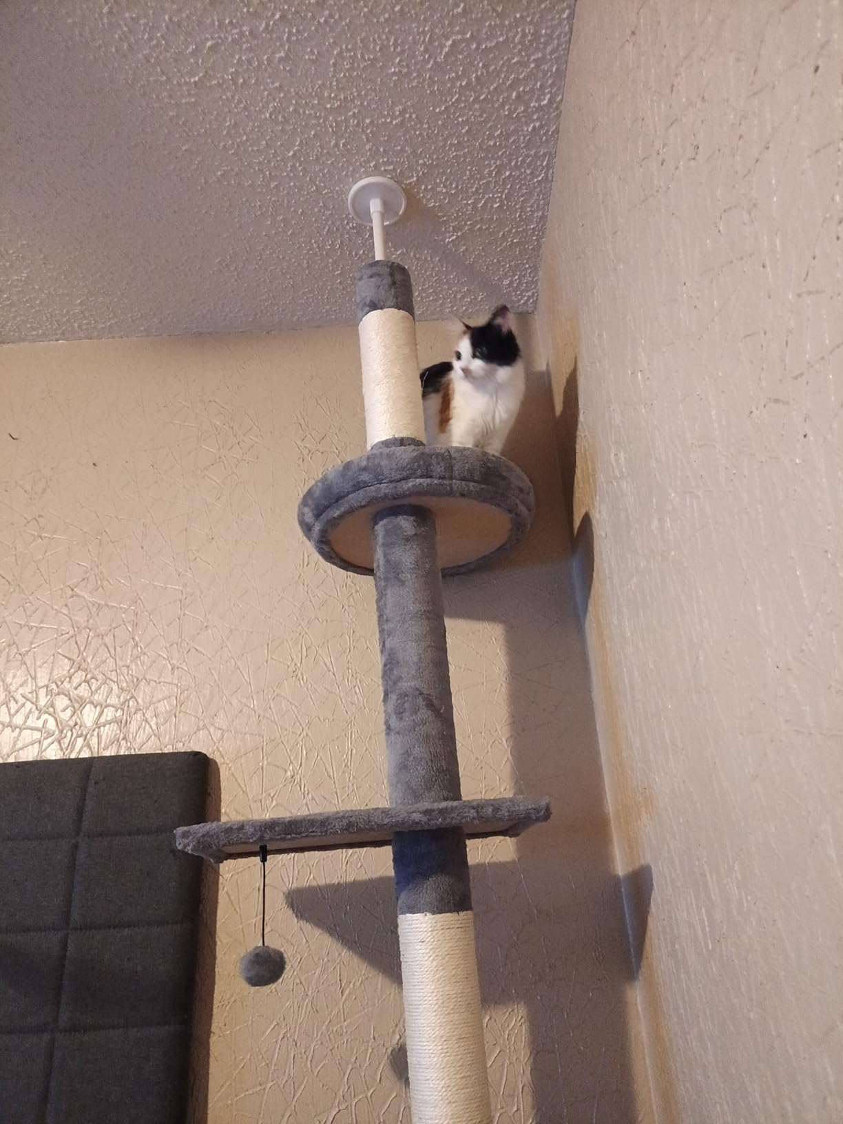 PETEPELA 5-Tier Floor to Ceiling Cat Tree, 95-107In Tall Cat Tower Beige customer photo 1