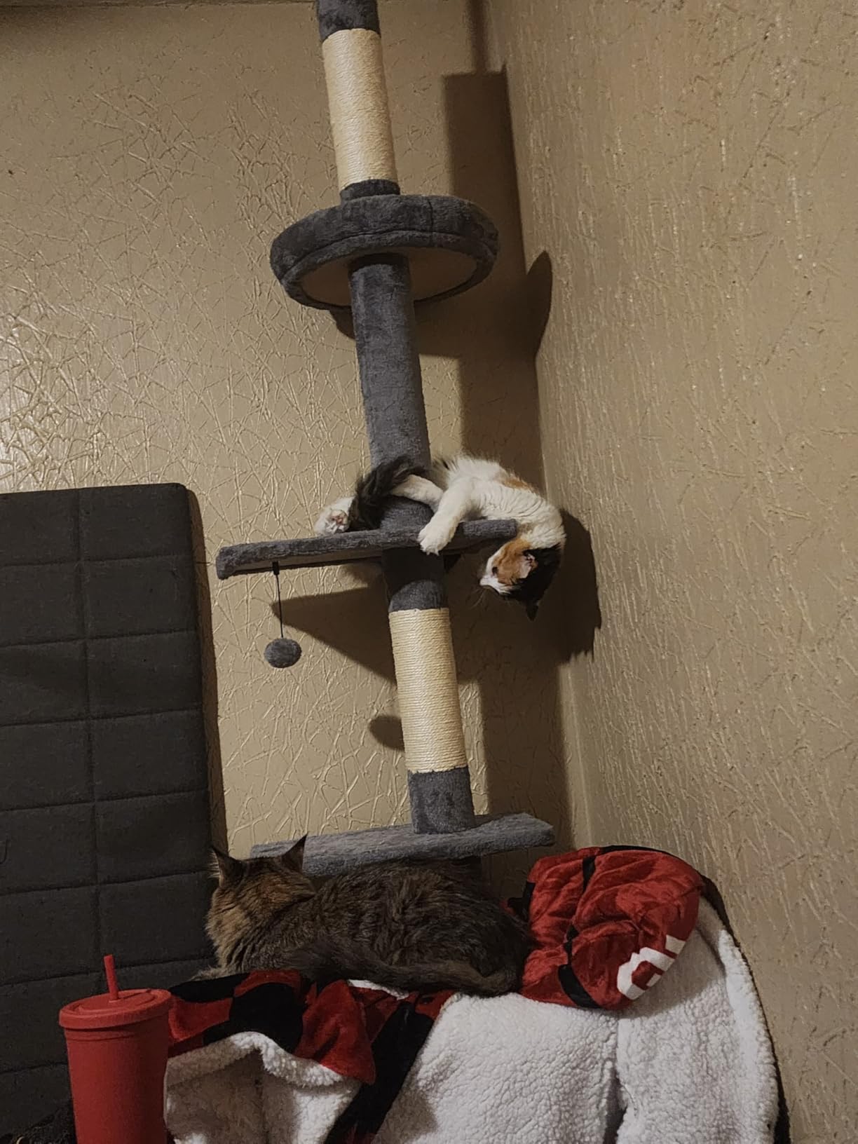 PETEPELA 5-Tier Floor to Ceiling Cat Tree, 95-107In Tall Cat Tower Beige customer photo 2