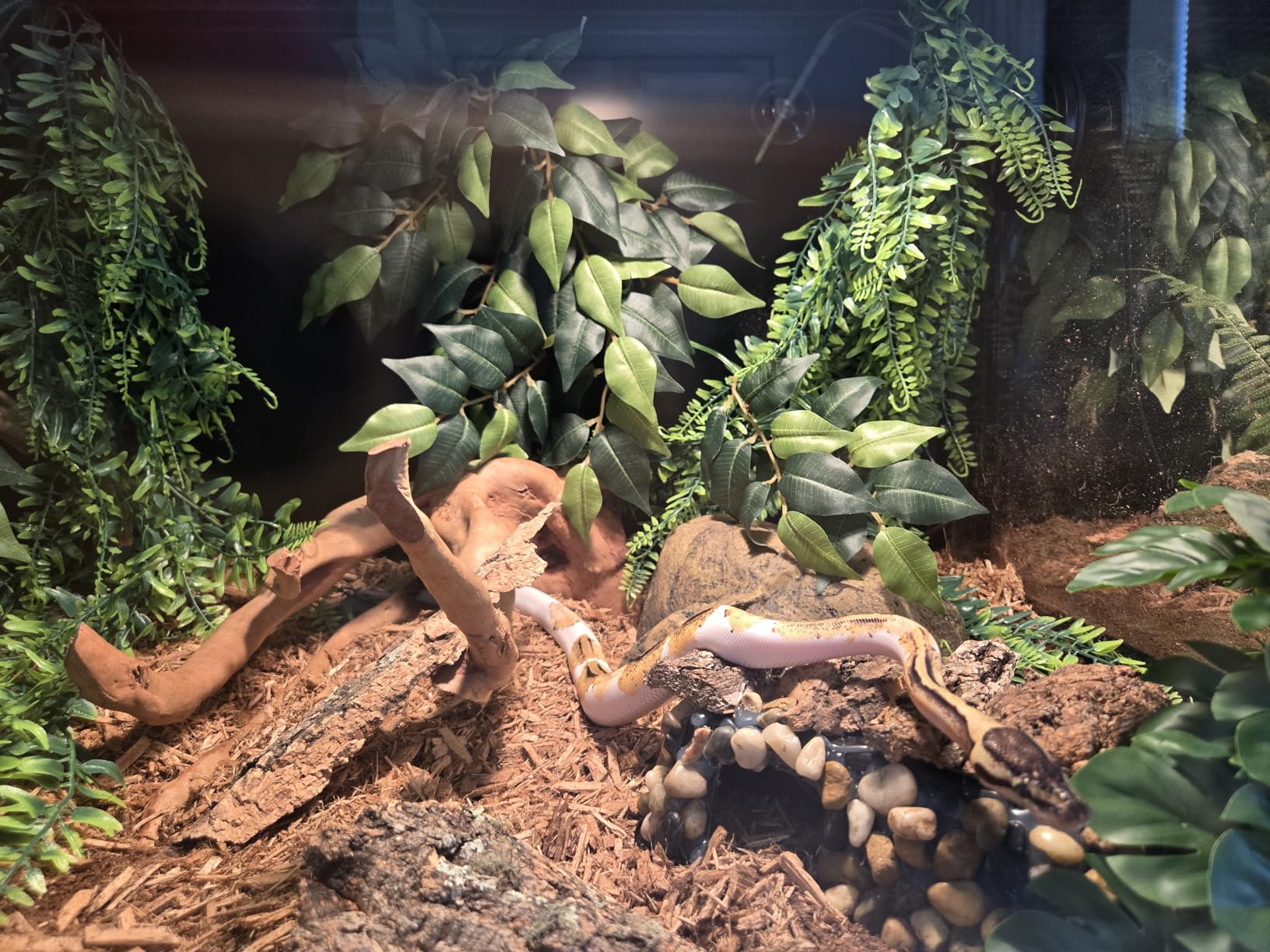 Phailozoo Lightweight 85 Gallon Reptile Enclosure for Snake, Bearded Dragon | Optimal Ventilation & Light Penetration by Rust Proof Mesh Top, Easy Assembly within 6 Steps with Clear Instruction customer photo 1