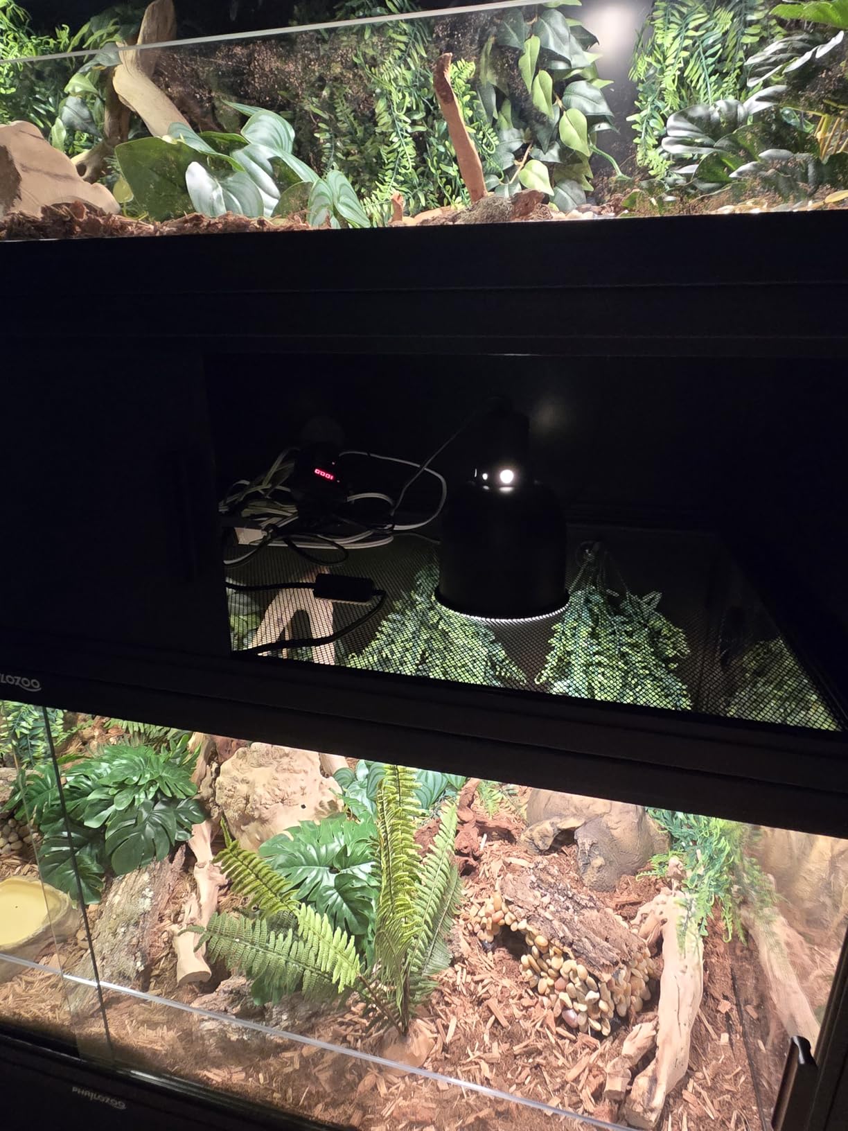 Phailozoo Lightweight 85 Gallon Reptile Enclosure for Snake, Bearded Dragon | Optimal Ventilation & Light Penetration by Rust Proof Mesh Top, Easy Assembly within 6 Steps with Clear Instruction customer photo 2