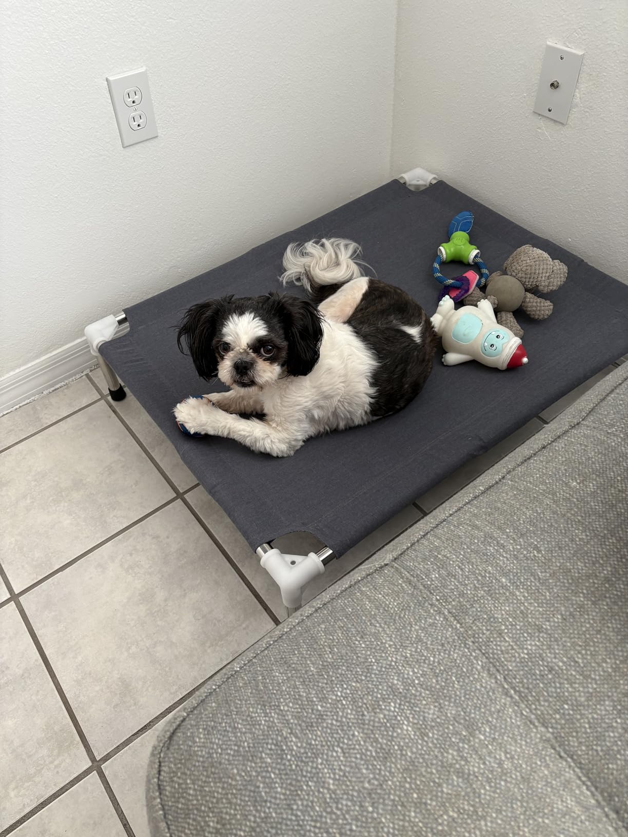 Elevated Dog Bed, Raised Outdoor Dog Bed for Medium Dogs, Portable Pet Cots customer photo 1