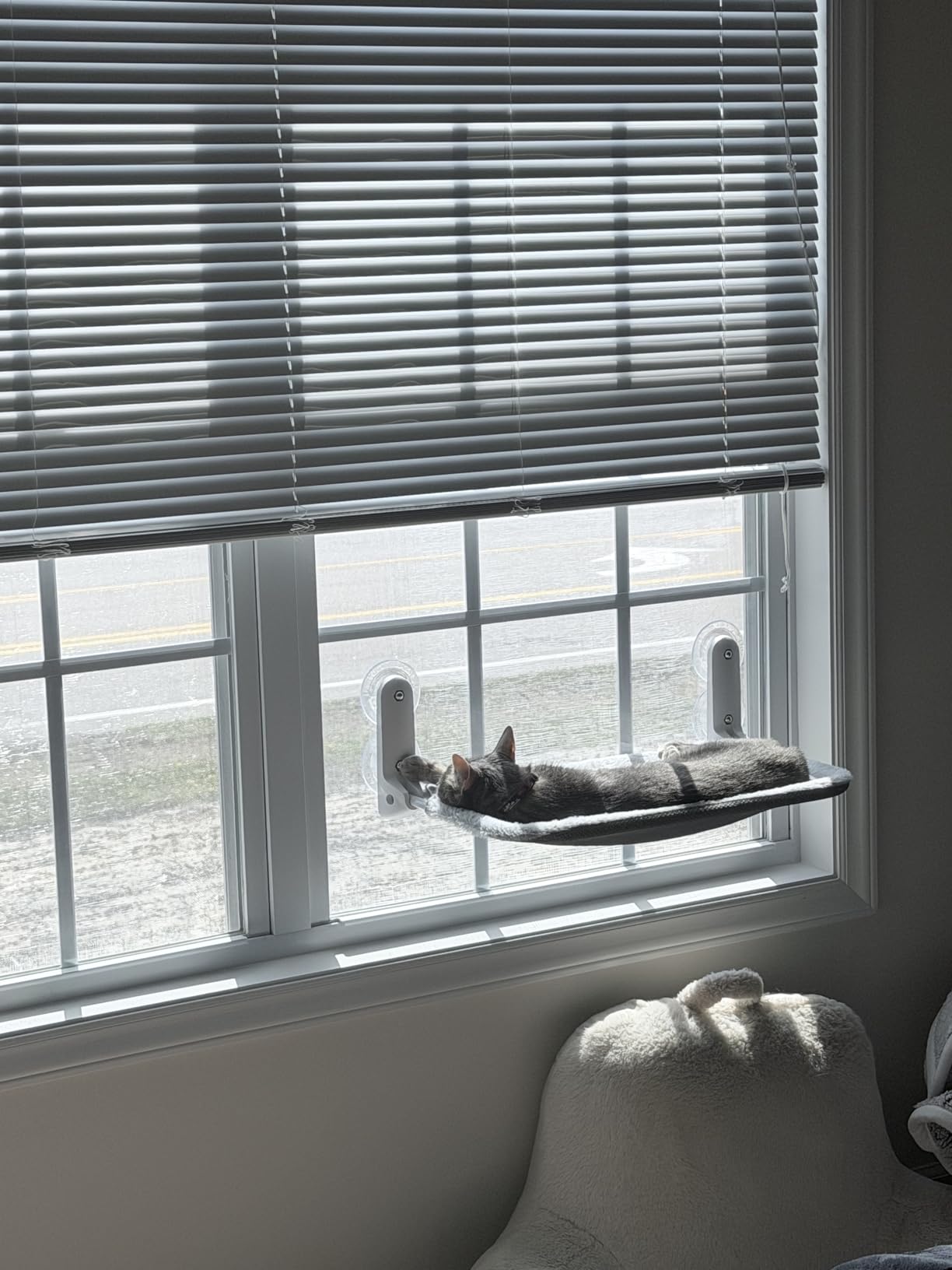 Zoratoo 2PC Cat Window Perch, Foldable & Cordless with Metal Frame, M Gray customer photo 2
