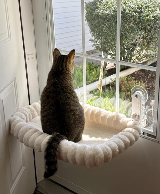 Zakkart SnugCloud Foldable Cat Window Perch (Cream White, M) customer photo 2