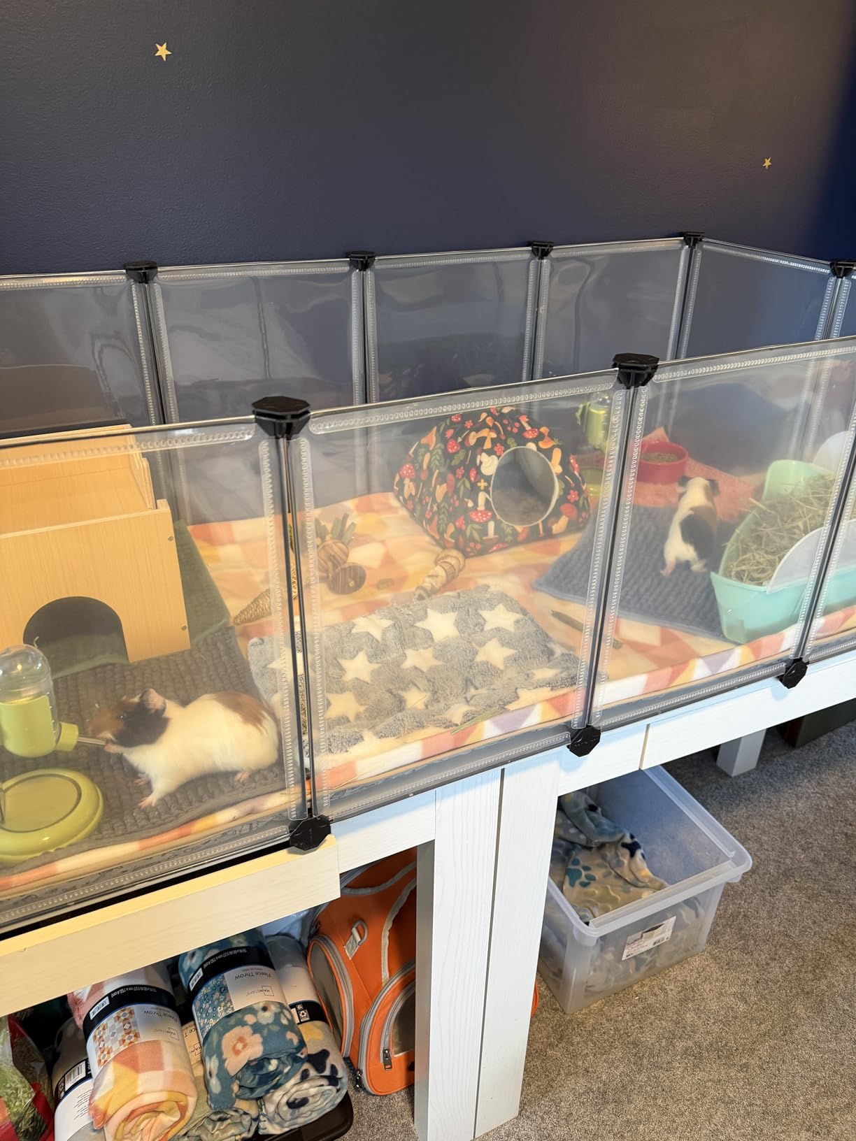 SONGMICS Guinea Pig Cage, Rabbit Cage,Small Animal Cage customer photo 2