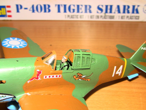 Revell 1:48 P-40B Tiger Shark WWII Fighter Plastic Model Kit customer photo 1