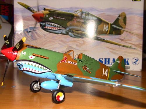 Revell 1:48 P-40B Tiger Shark WWII Fighter Plastic Model Kit customer photo 2