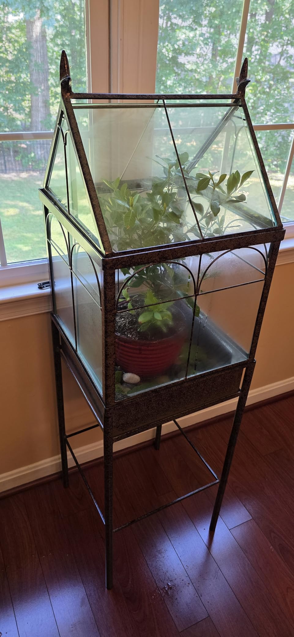 H Potter Freestanding Glass Wardian Case Plant Stand, Large Terrarium | Handcrafted, Real Glass, Botanical Display, Houseplants, Decorative Décor customer photo 1