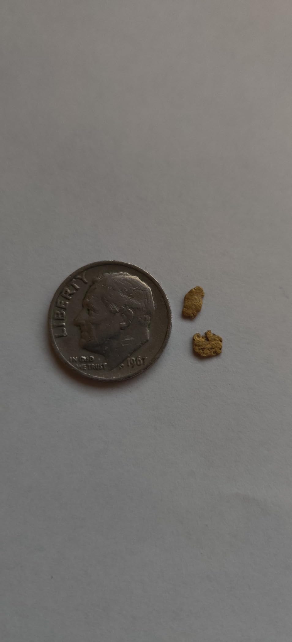 Fisher Labs Gold Bug Metal Detector customer photo 2