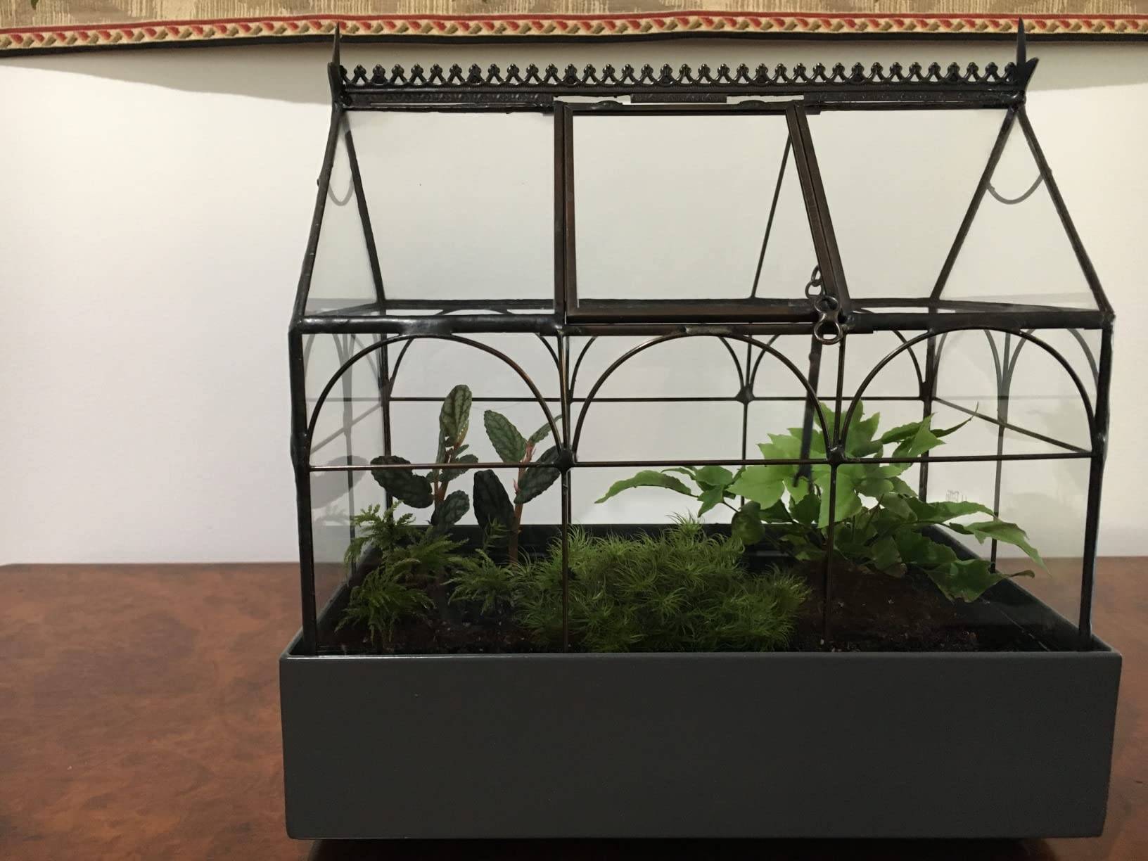 H Potter Glass Terrarium Wardian Case, with Hinged Roof 10.5