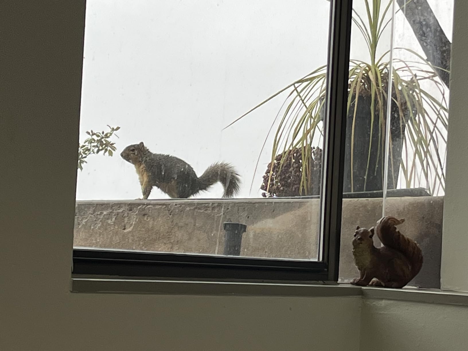 Design Toscano Scamper the Woodland Squirrel Outdoor Garden Statue, 7 Inch Tall, Cast Stone Resin, Brown Finish customer photo 2