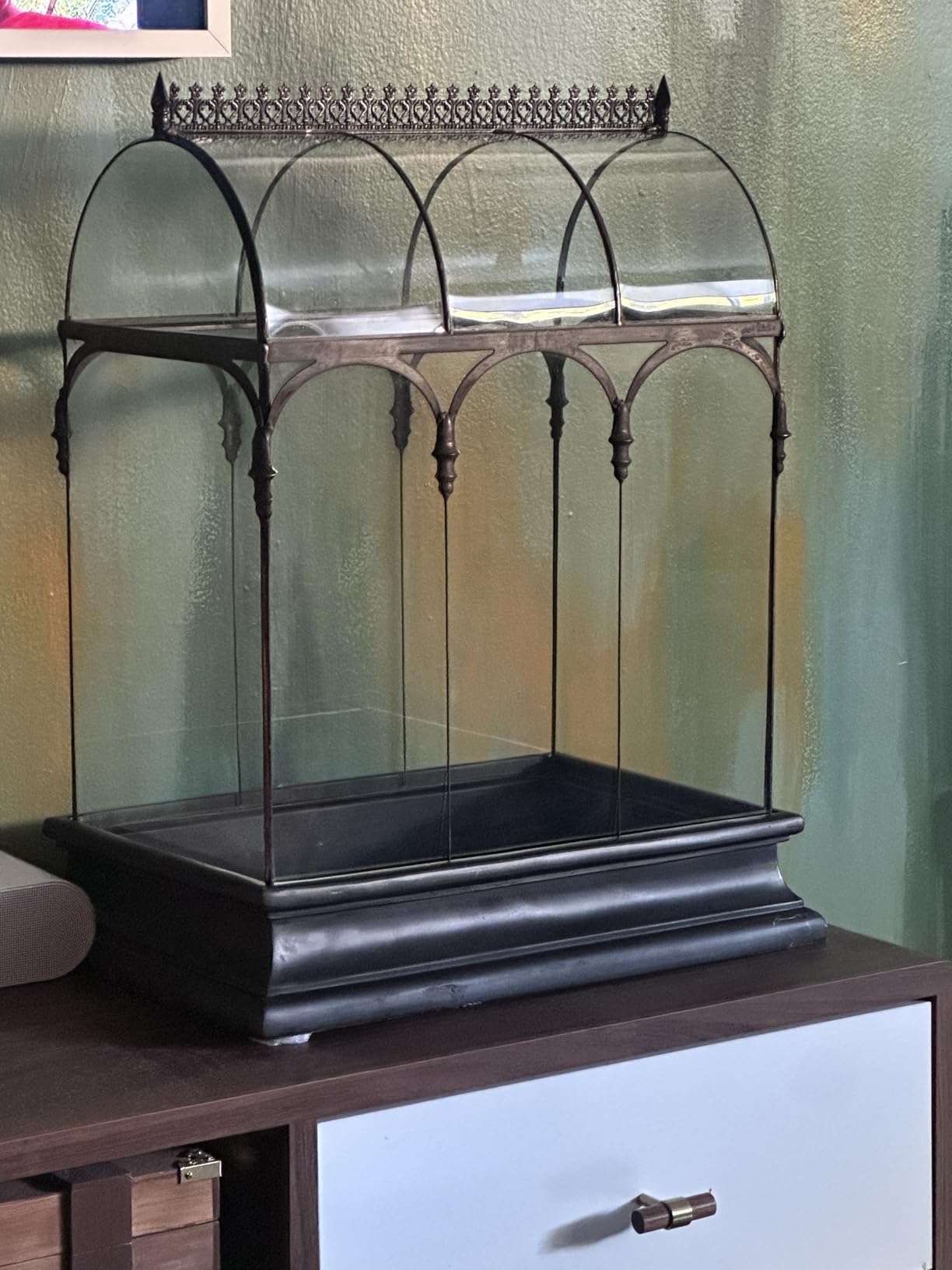 H Potter Large Glass Terrarium 22 Inch Tall, Curved Glass Wardian Case Planter with Resin Base, Indoor Display for Orchids Ferns Succulents, Removable Top customer photo 1