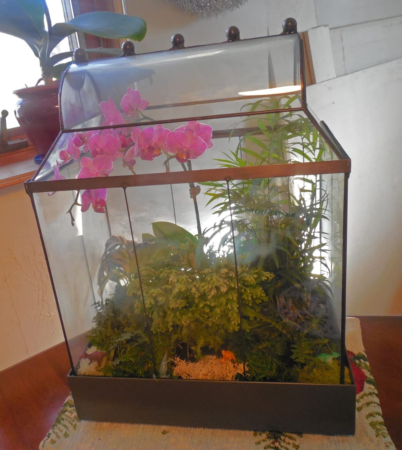 H Potter Large Glass Terrarium Wardian Case with Curved Glass, 19.5