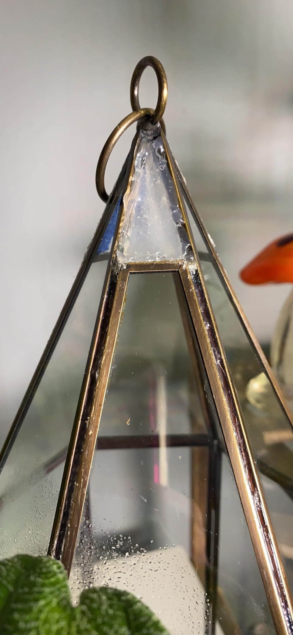 D'Eco Glass Tall Hexagon Plant Terrarium, & Centerpiece (Dims:5x5x14) | Tabletop Geometric Bronze Planter Terrarium, Fill Display with Succulents, Moss, Air Plants, Ferns, Home and Office Decor customer photo 1