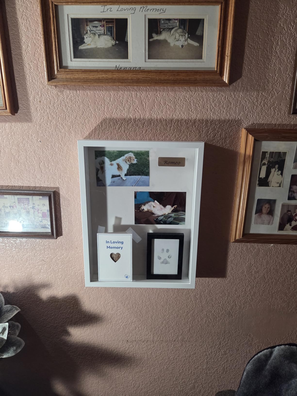 Americanflat 11x14 Shadow Box Frame with Shatter-Resistant Glass - Silhouette Collection - Large Shadow Box Display Case for Tabletop and Wall Display - Black with Soft Felt Back customer photo 2