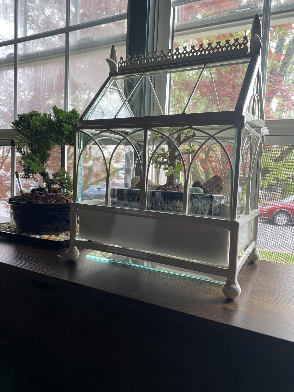 H Potter Glass Terrarium Succulent Planter Wardian Case Plant Container Metal Tabletop Off White customer photo 1