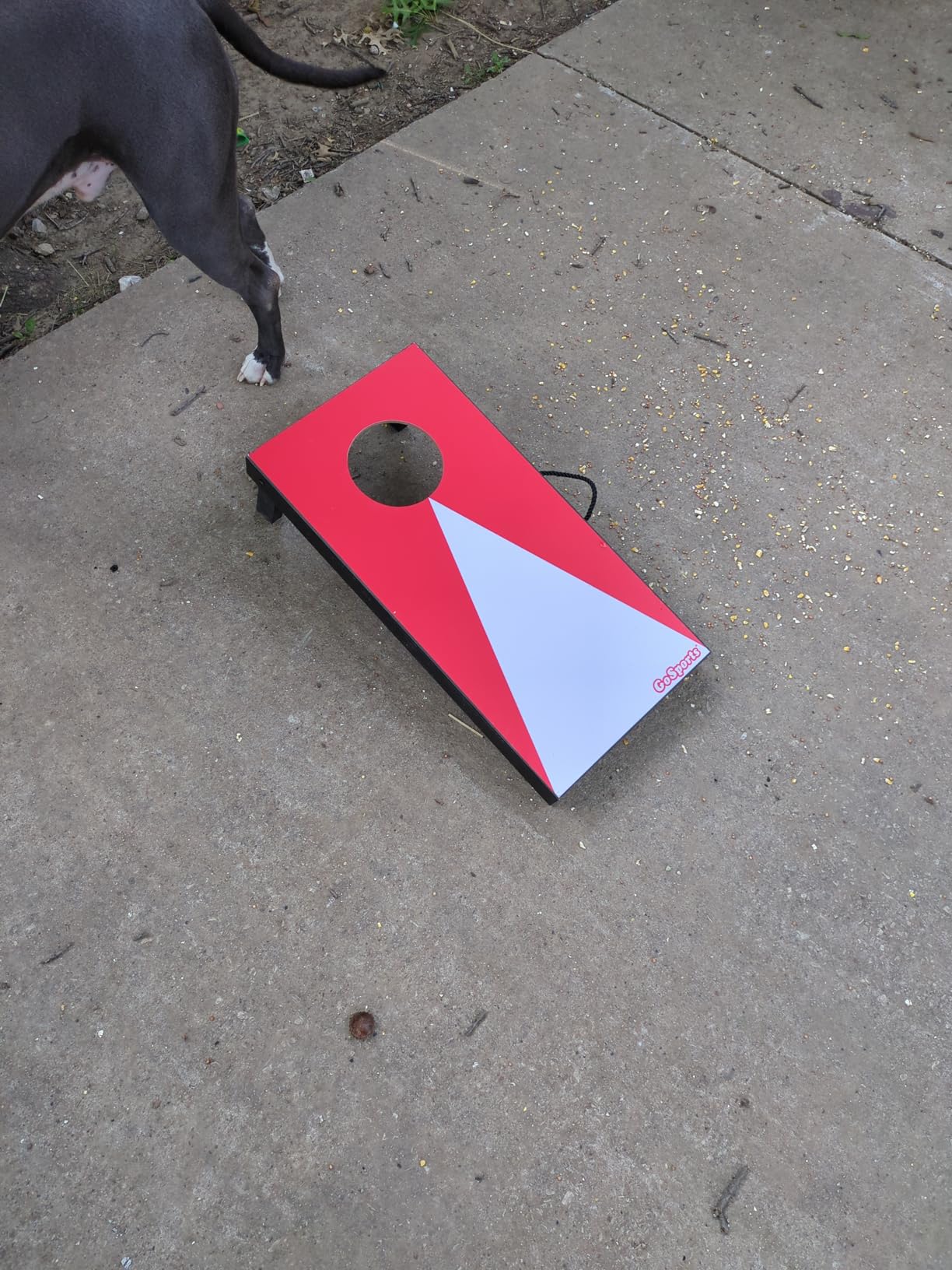 GoSports 2 ft x 1 ft Portable Size Cornhole Set - Ready To Play with 6 Bean Bags and 2 Cornhole Boards - Great for Indoor, Outdoor, Family Events, Game Nights, and Backyard Play customer photo 2