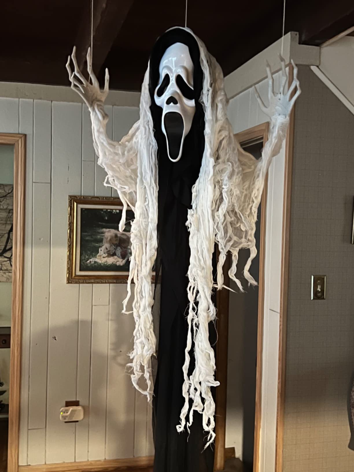 Haunted Hill Farm Life-Size 6-Ft Scary Talking Ghost Halloween Animatronic with Touch Activated Lights and Sound, Battery Operated Indoor or Covered Outdoor Decorations, Creepy Props customer photo 2