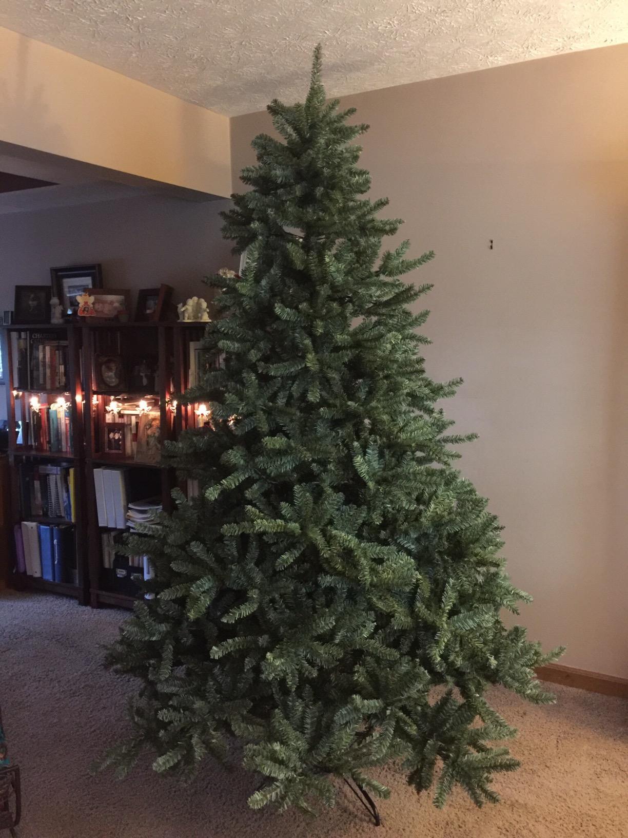 Balsam Hill 7.5ft Pre-Lit Classic Blue Spruce Artificial Christmas Tree with 2,960+ Tips, 1,000 Clear LED Lights, Easy Plug Technology & Premium Stand for Indoor Holiday Decorating customer photo 1