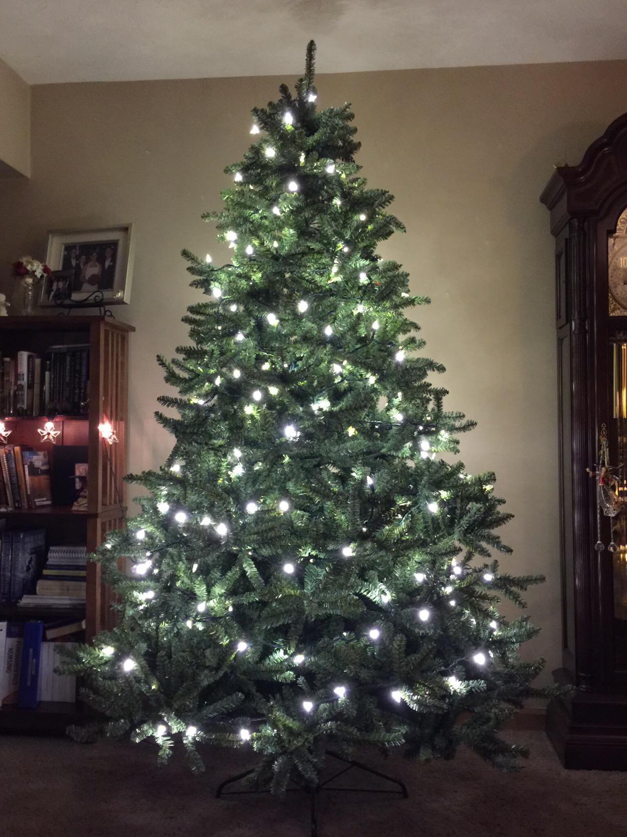 Balsam Hill 7.5ft Pre-Lit Classic Blue Spruce Artificial Christmas Tree with 2,960+ Tips, 1,000 Clear LED Lights, Easy Plug Technology & Premium Stand for Indoor Holiday Decorating customer photo 2