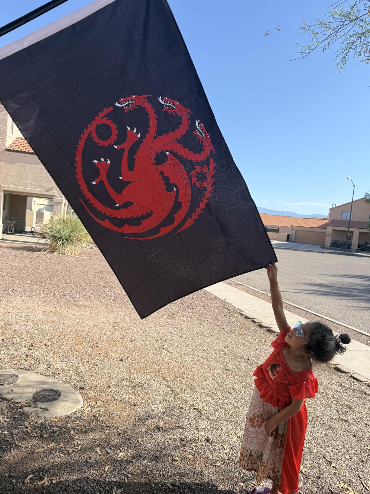 Eksent Three Dragon 3X5 Feet Banner Targaryen Sigil flag(,Bright & Vibrant 150D Polyester,Brass grommet design is durable) customer photo 1