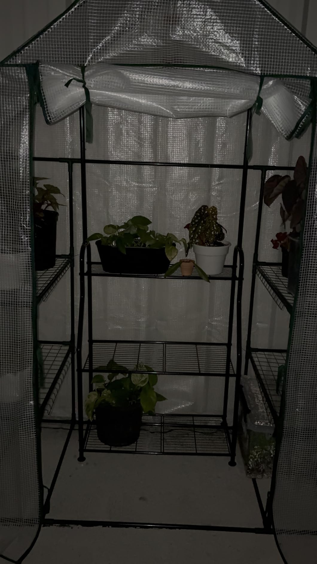 Greenhouse, Portable Mini Walk-in Green House for Outdoors with Roll-up Zipper Door, Anchors, and UV-Resistant Cover customer photo 1