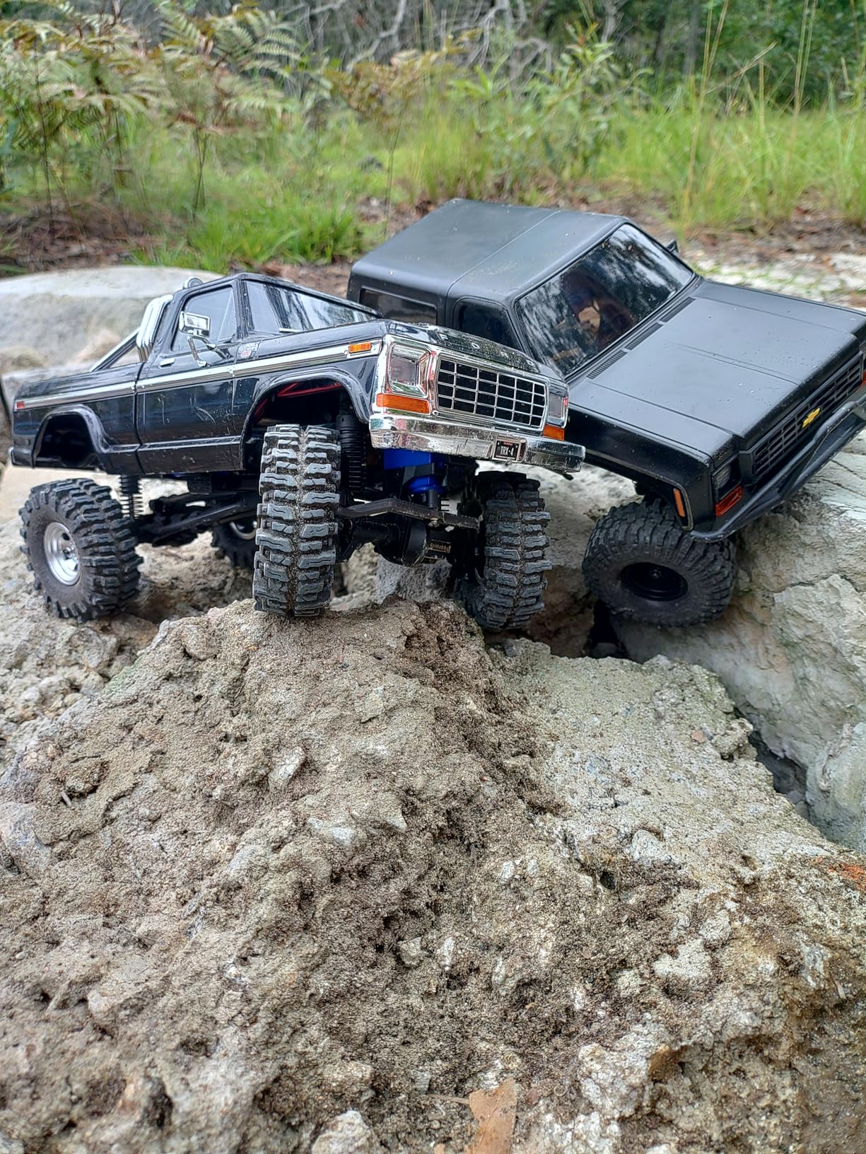 Traxxas 1:18 TRX-4M F-150 High Trail Crawler Truck customer photo 2
