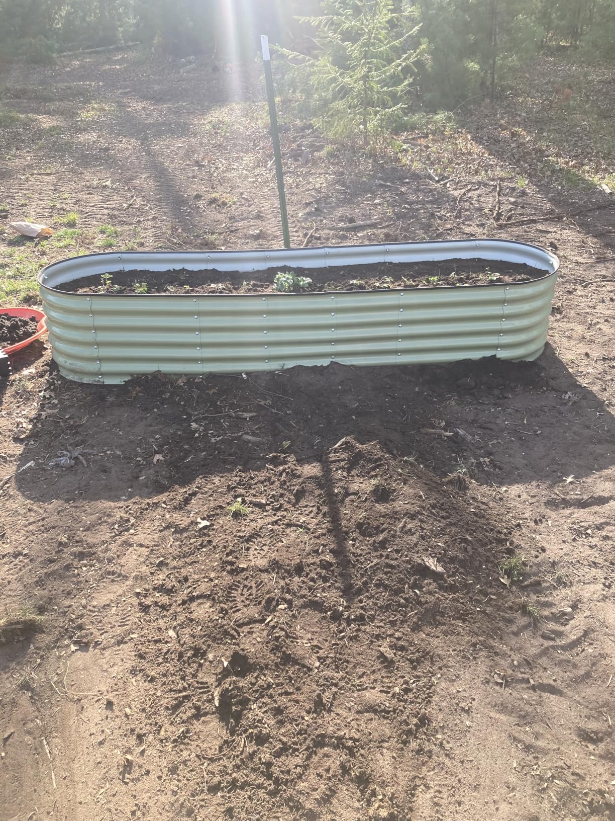 Pattiumo Galvanized Raised Garden Bed 8x2x1.5 FT, Round Metal Raised Garden Bed Outdoor Planter Box with Open Bottom, Rust-Resistant Steel Garden Bed for Vegetables Herbs Flowers, Easy Assembly customer photo 2