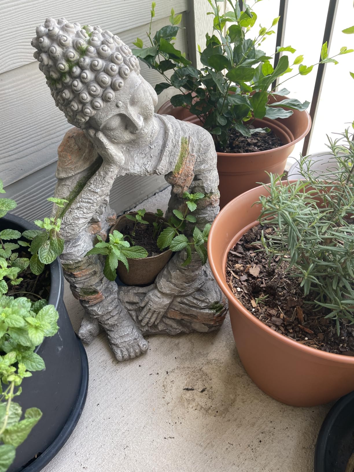 homary Outdoor Sleeping Buddha Statue Planter | Zen Garden Sculpture, Flower Pot, Magnesium Oxide, Indoor Outdoor Decoration, For Patio, Lawn, Temple, Office customer photo 1