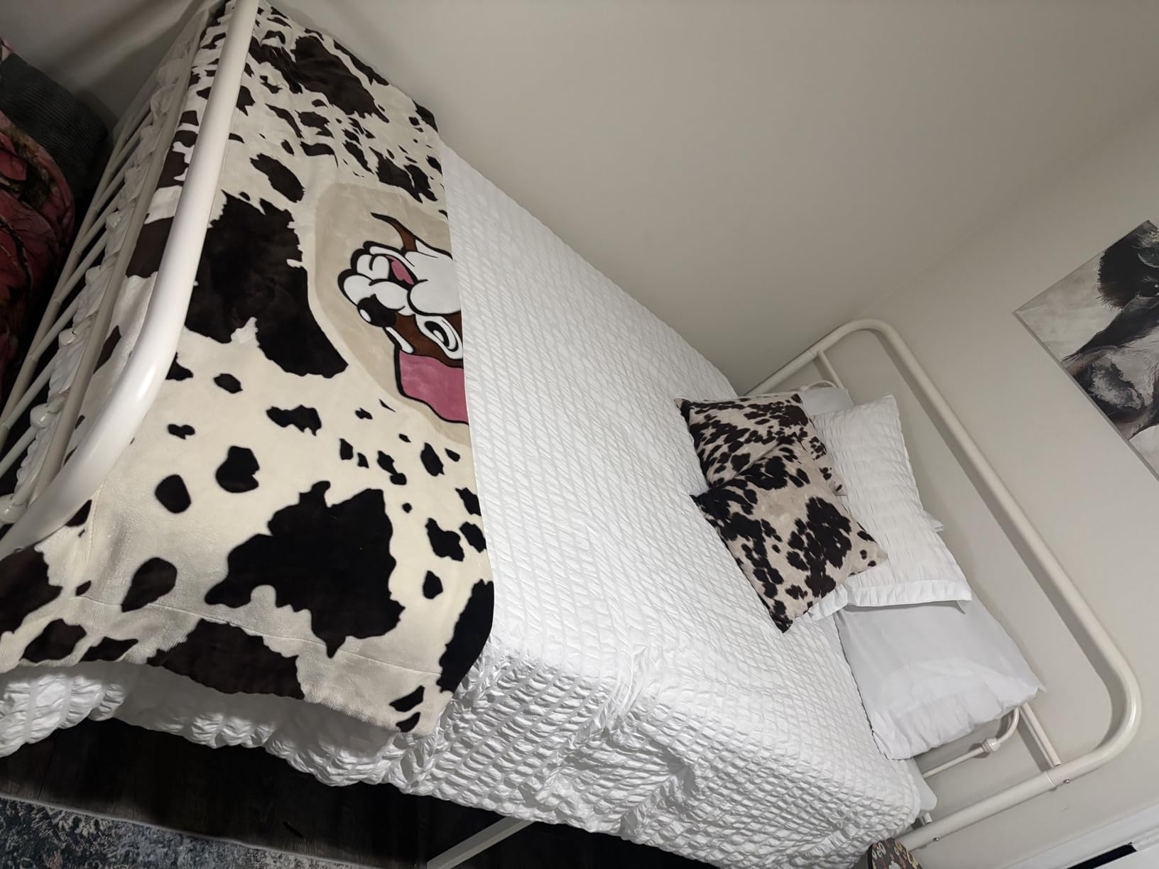 Allewie Queen Size Metal Platform Bed Frame with Headboard, 14 Inches Victorian Style Curved Iron-Art Headboard/Footboard, Black customer photo 1