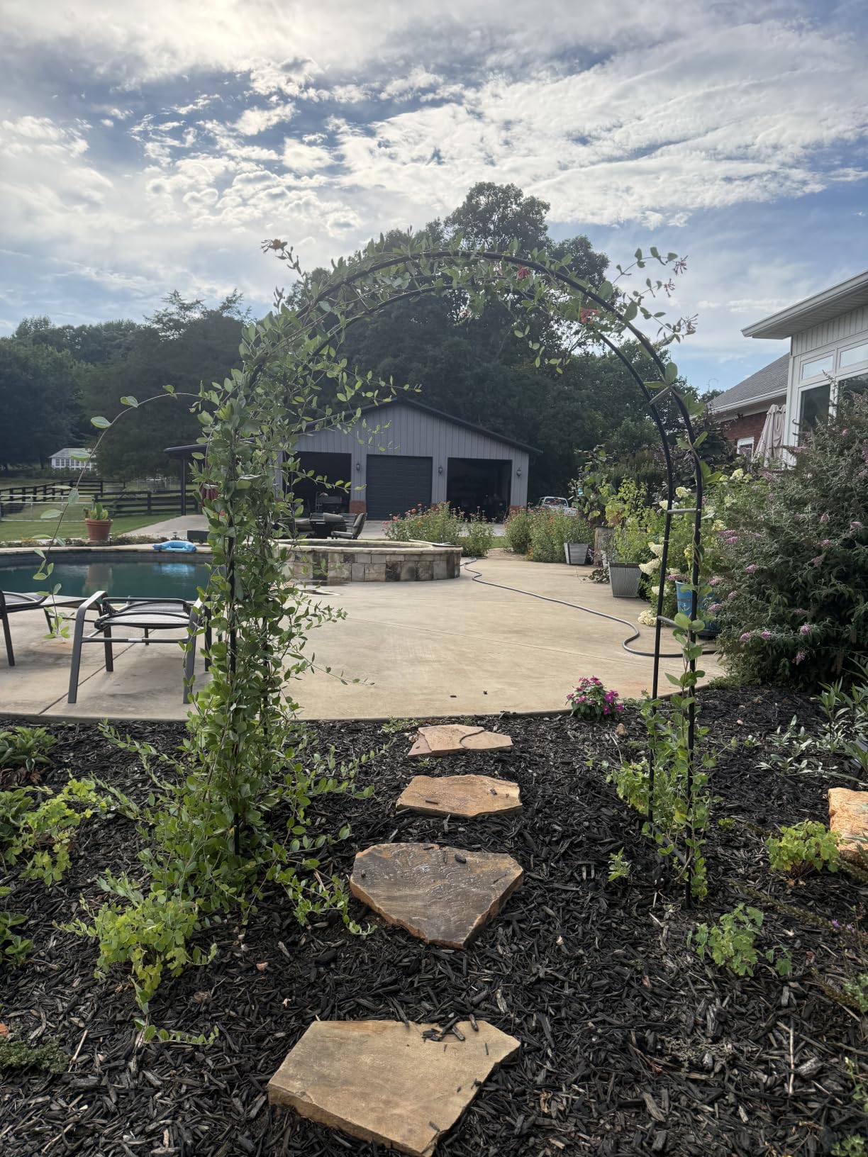 Thickened Tube Garden Arch, 7.3ft Heavy-Duty Metal with 16mm Steel Tubes & 0.5mm Thickened Wall, Durable Outdoor Trellis for Climbing Plants, Roses, Garden Party, Ceremony & Decorations (Black) customer photo 1