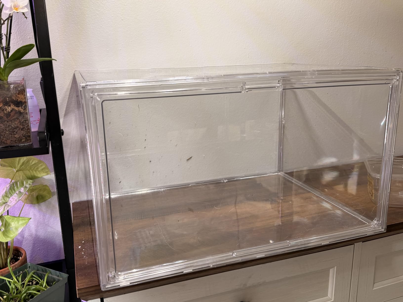Jumbo Wide Acrylic Display Cabinet - Extra High for 23