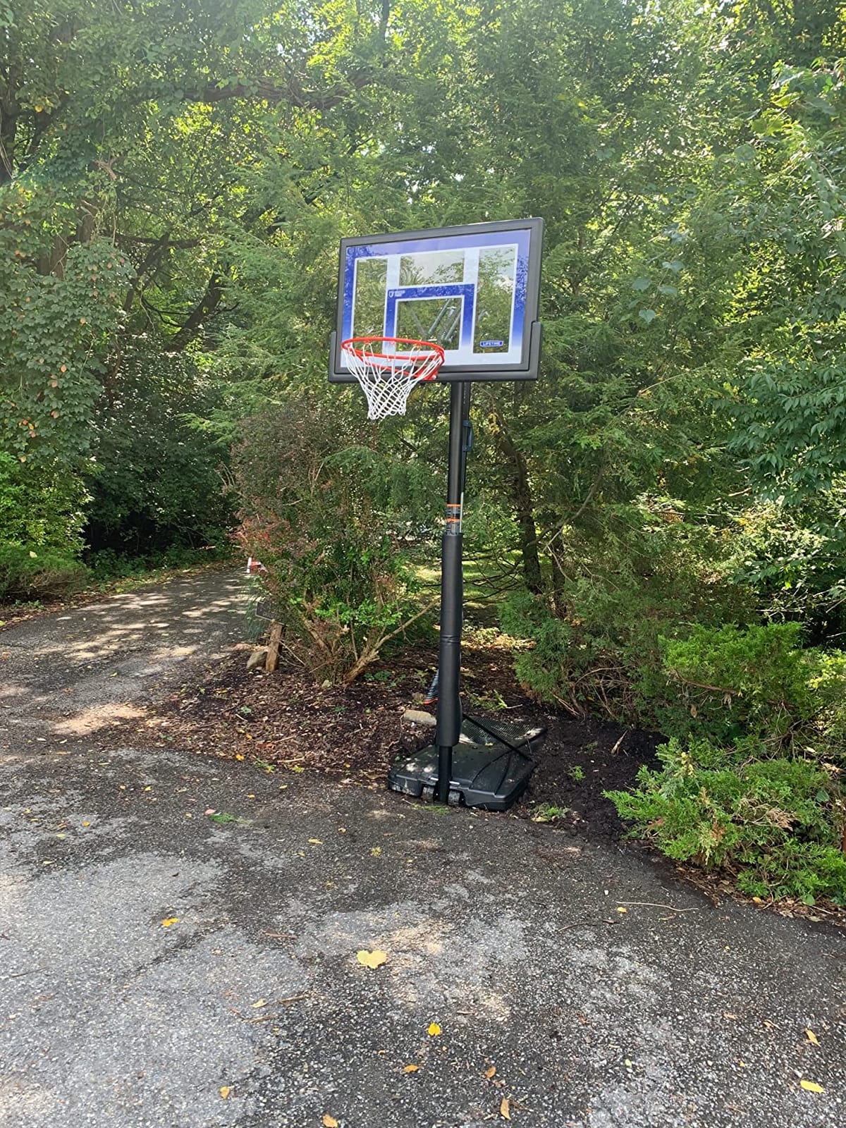 Lifetime Outdoor Portable Basketball Hoop, 48 Inch Backboard, 8-10 Ft Speed Shift Adjustable Height customer photo 1