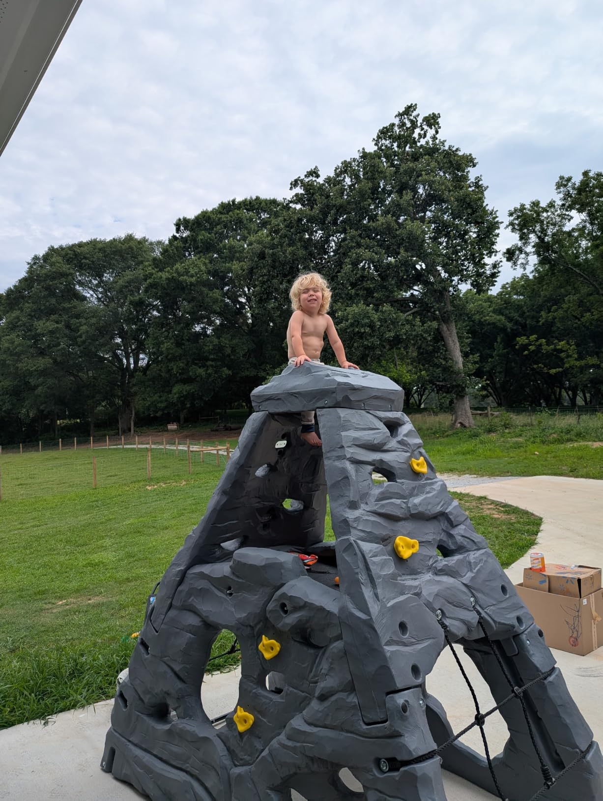 Step2 Skyward Summit for Kids, Climbing Wall Playset for Toddlers, Ages 4 -8 Years Old, Easy to Assemble Kids Outdoor Playground for Backyard customer photo 1