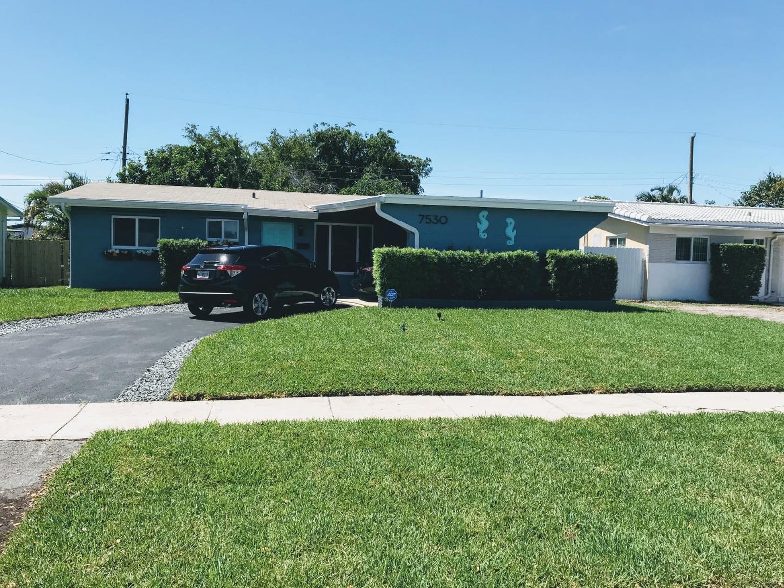 In-Ground 5-Inch Pop-Up Adjustable Sprinkler with Quick Hose Connector, QSK-741 customer photo 1