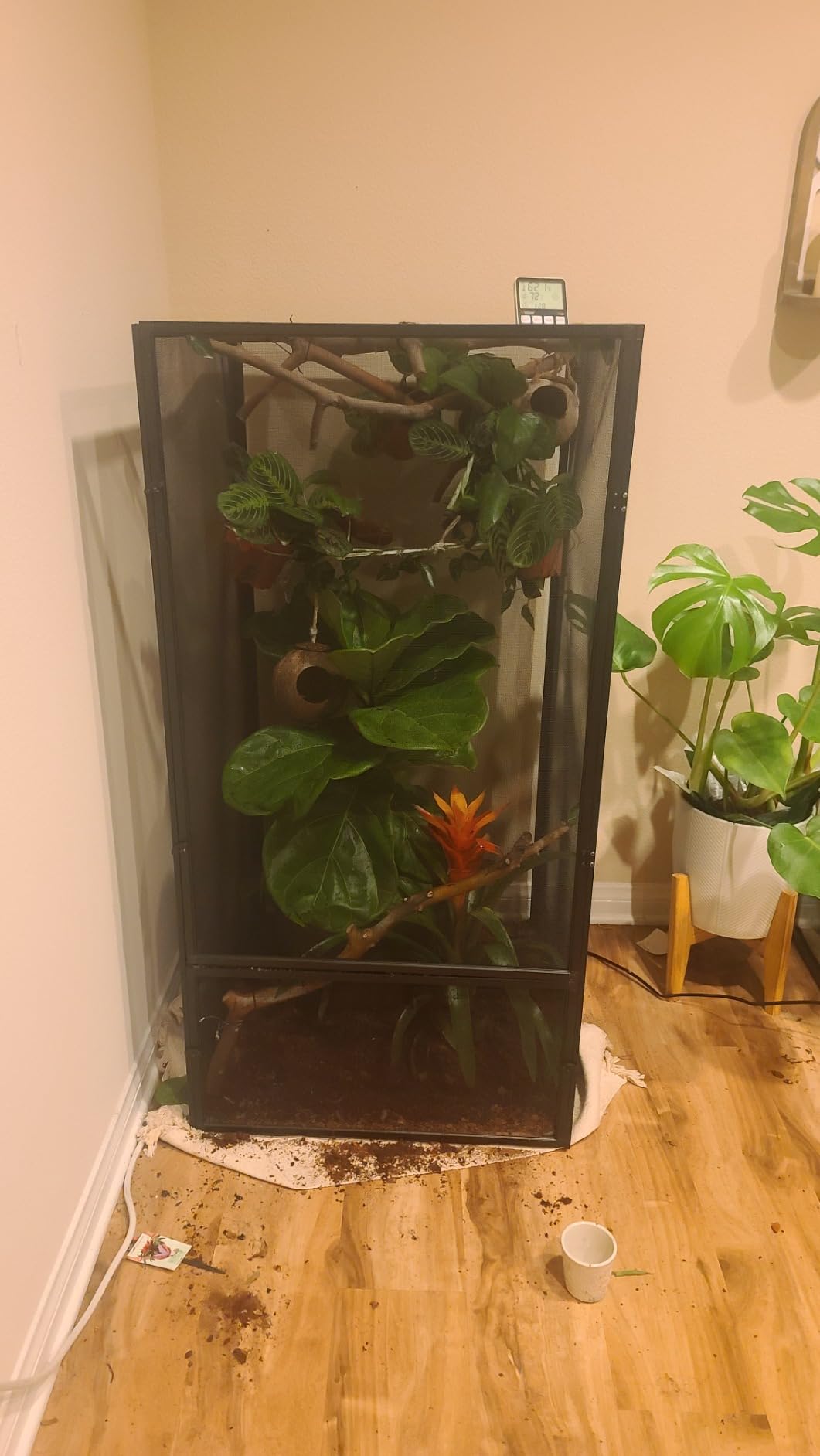 Zoo Med Reptibreeze Open Air Screen Cage 24x24x48 customer photo 2