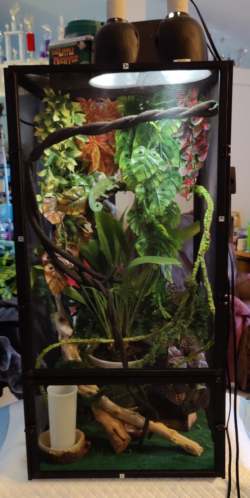 Zoo Med ReptiBreeze Open Air Screen Cage, Large, 18 x 18 x 36-Inches customer photo 2
