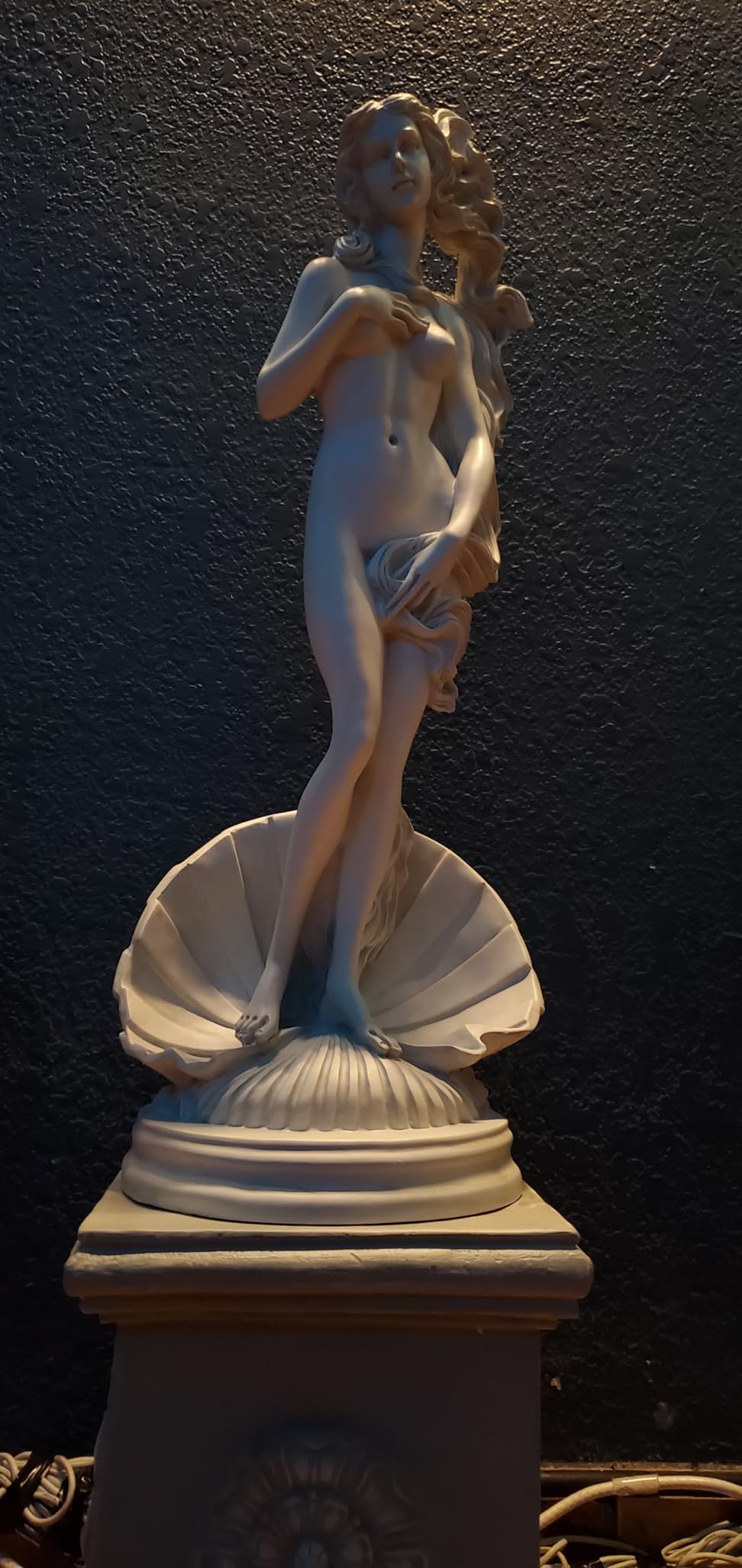 Design Toscano Birth of Venus, Roman Patroness of Love Indoor/Outdoor Garden Statue, 25 inches tall, Cast Stone Resin, Antique Stone Finish customer photo 2