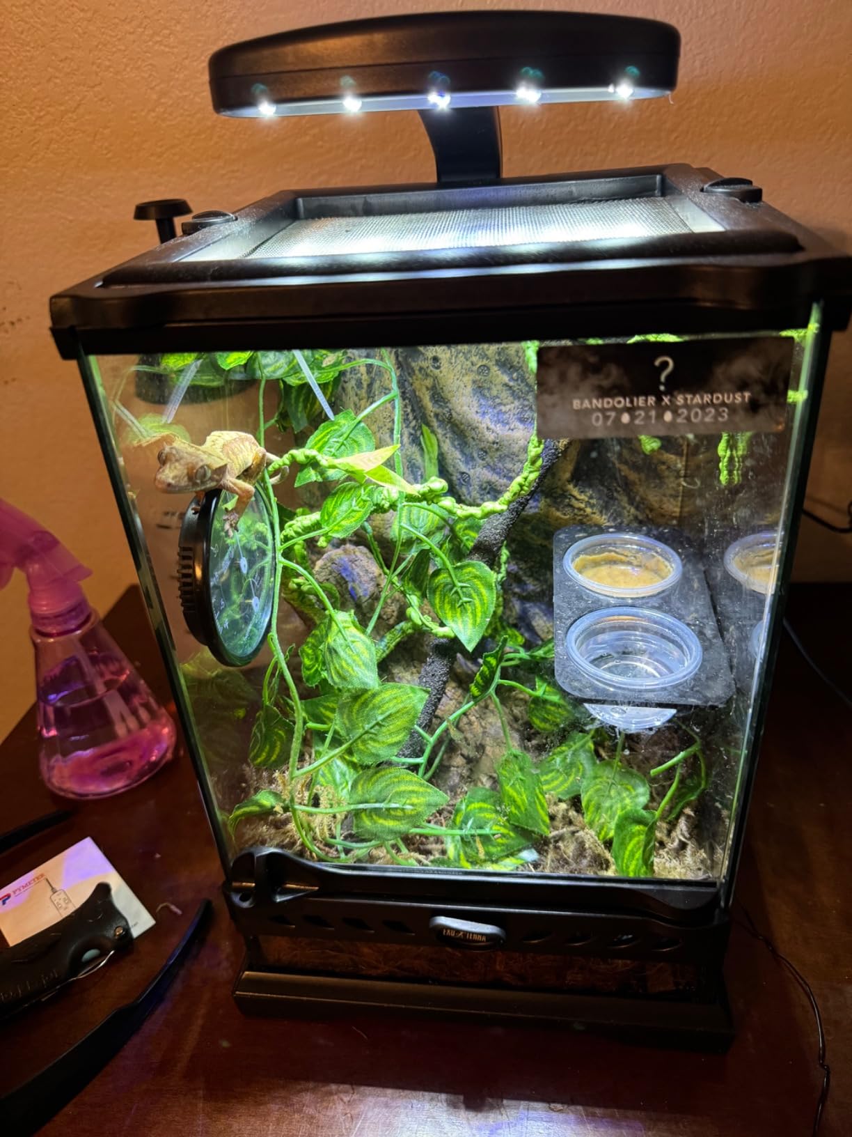 Exo Terra Glass Nano Terrarium Kit, 8 x 8 x 12 Inches - For Reptiles and Amphibians customer photo 2