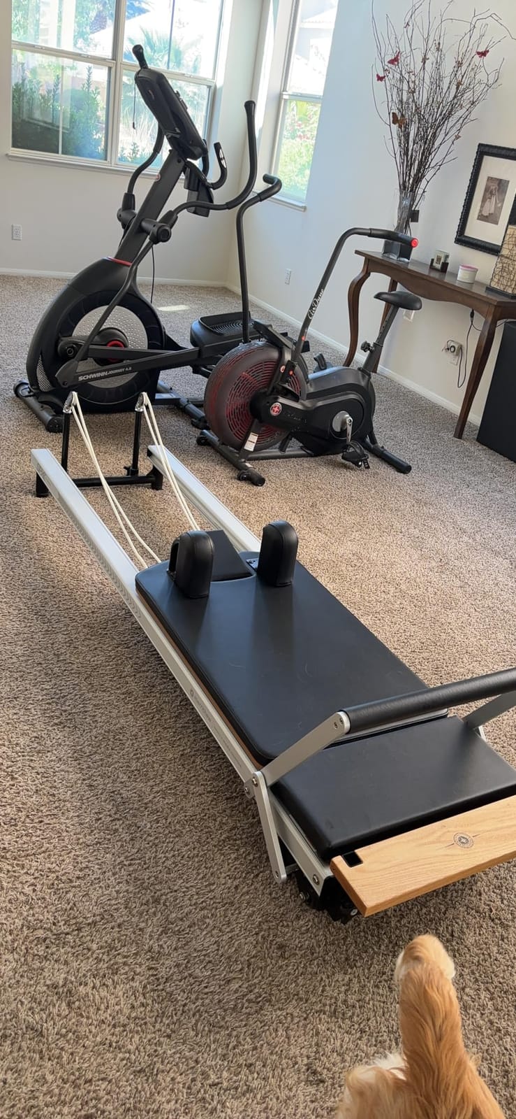 Merrithew At Home SPX Reformer Pilates Package customer photo 2