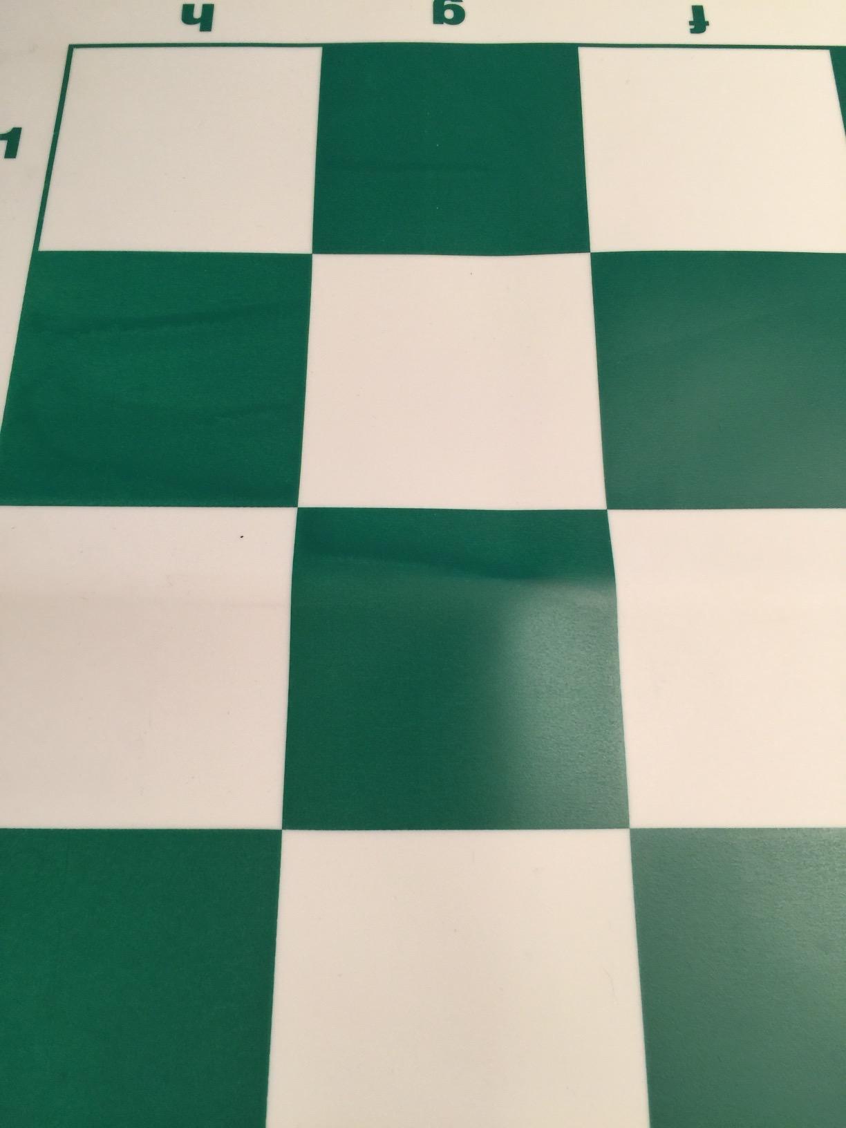 WE Games Original 100% Silicone Tournament Chess Mat - 20 in. Board, Green customer photo 1